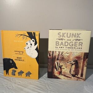 Set of Two Illustrated Children's Books